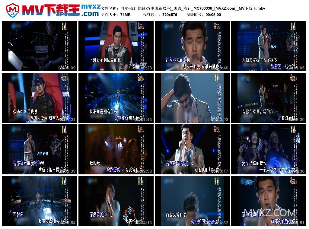 向洋-我们都寂寞(中国新歌声)_国语_流行_MC700336